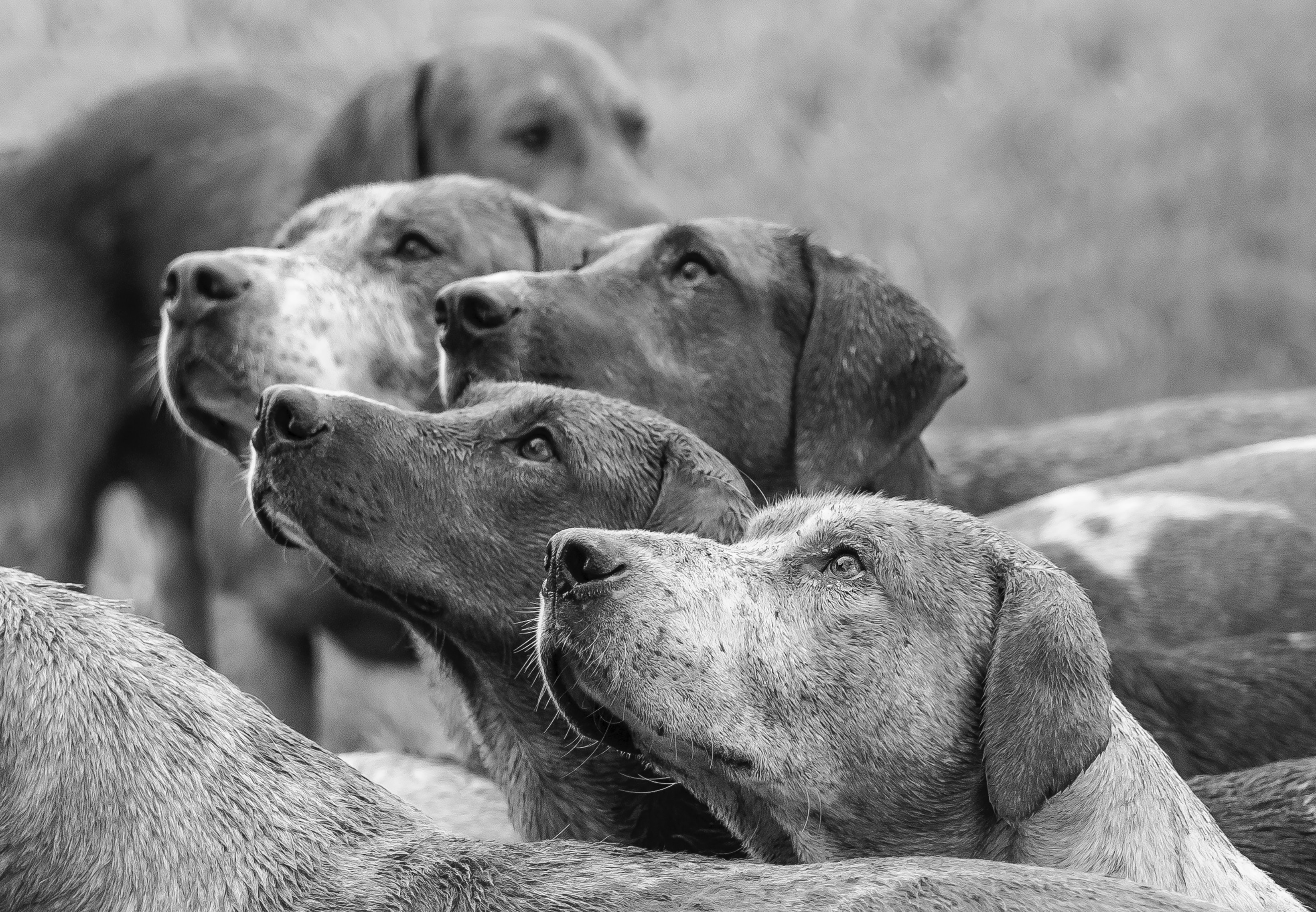 phil-hodkinson-766358-unsplash